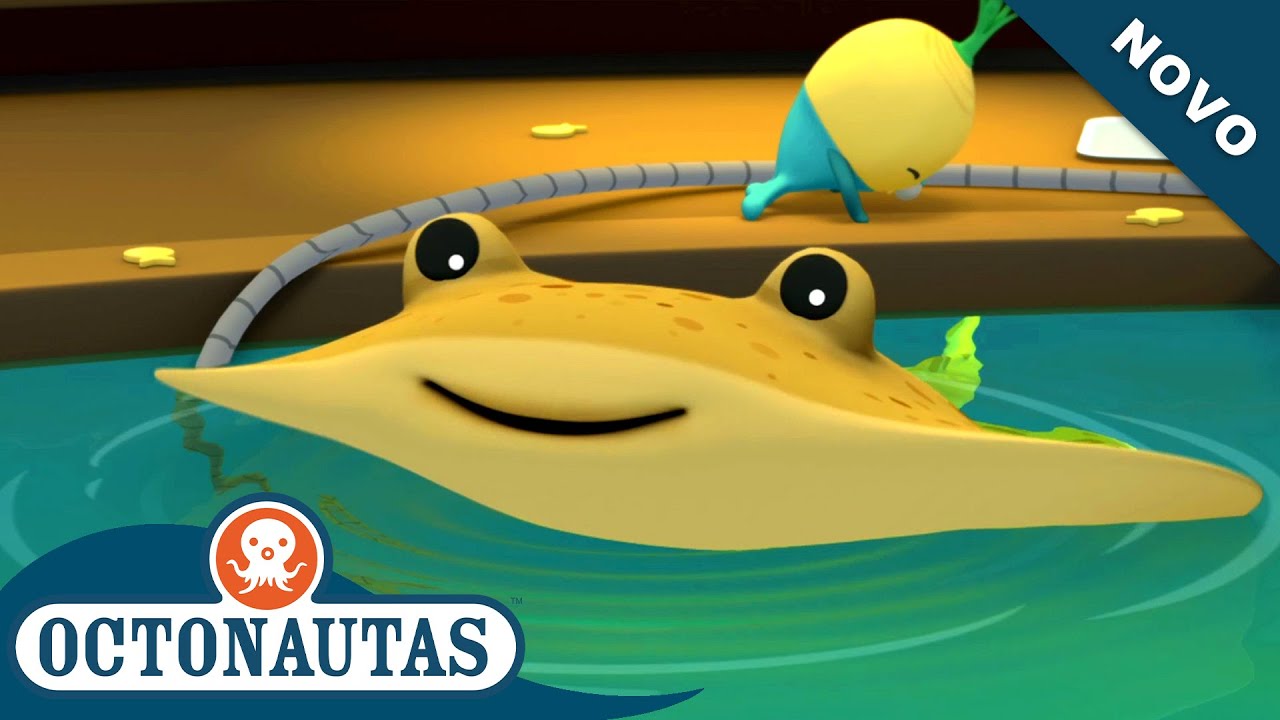 Octonautas - Os Raios Torpedos Elétricos | Episódio inteiro 50 | Primeira Temporada