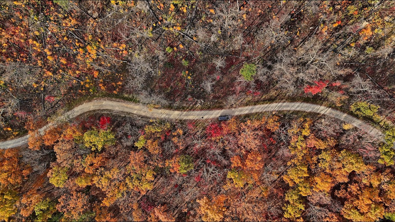 Capturing Stunning Fall Colors from Above 🍁 | Aerial Drone Cinematic Adventure!