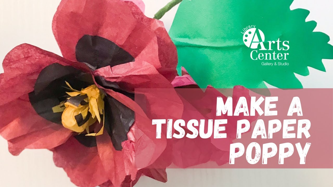 Make a Tissue Paper Poppy with Chris Scott