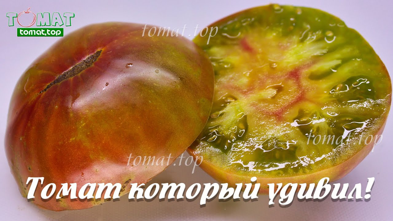 Один из самых интересных  сортов томатов в этом сезоне. Удивил и вкусом и красотой плодов!