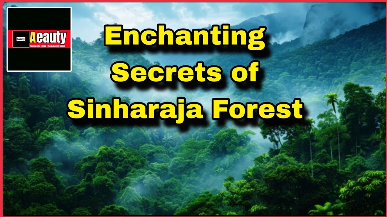 Discovering the Enchanting Secrets of Sinharaja Forest/සිංහරාජ වනාන්තරයේ ජෛව විවිධත්වය
