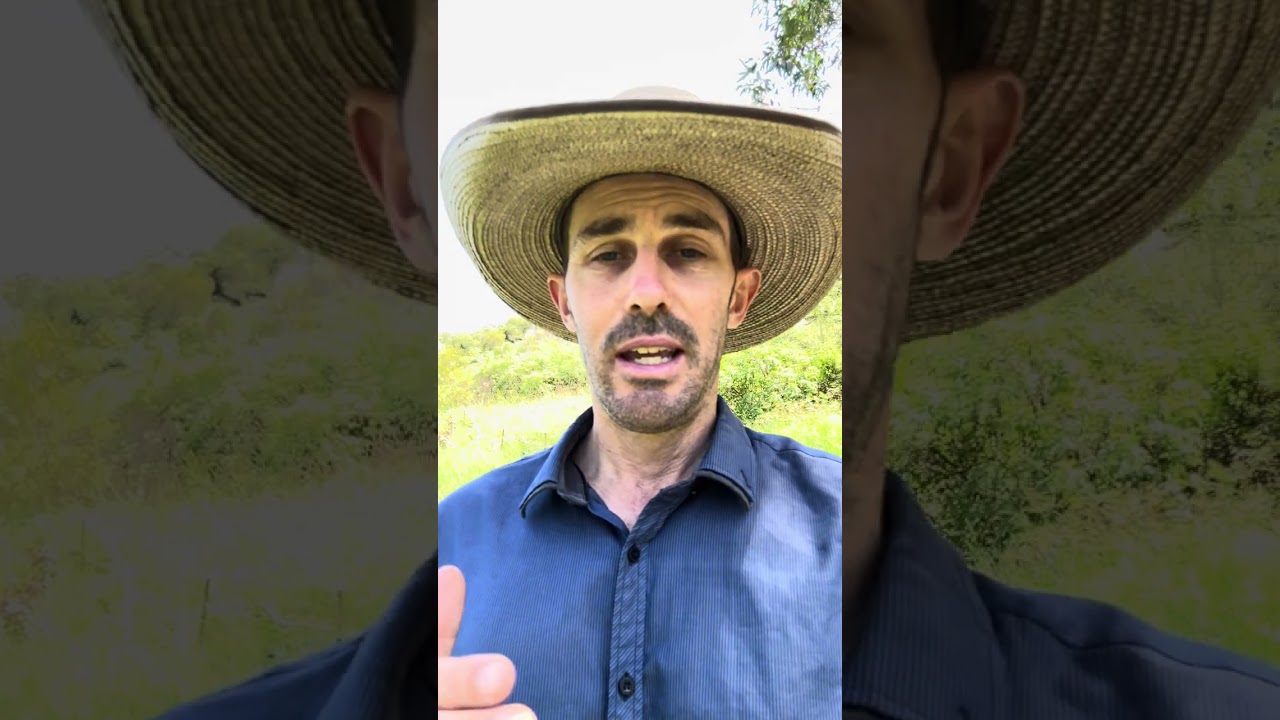 What is my life purpose? - A simple way to find your Life Purpose 