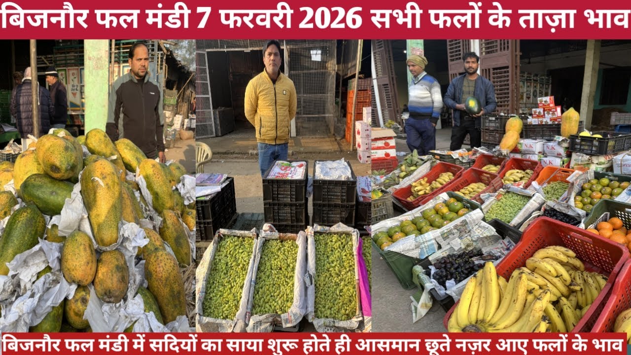 बिजनौर फल मंडी 7 फरवरी 2026 सभी फलों के ताज़ा भाव || All fruits price today bijnor fruits Market