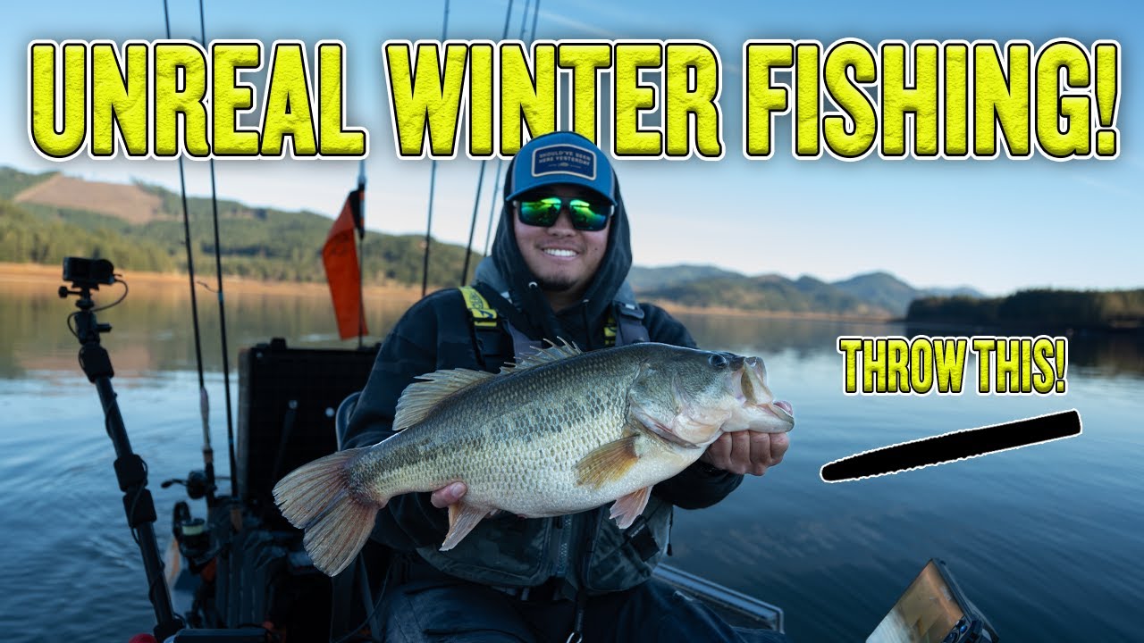 This Finesse Bait Catches BIG BASS in the Winter!