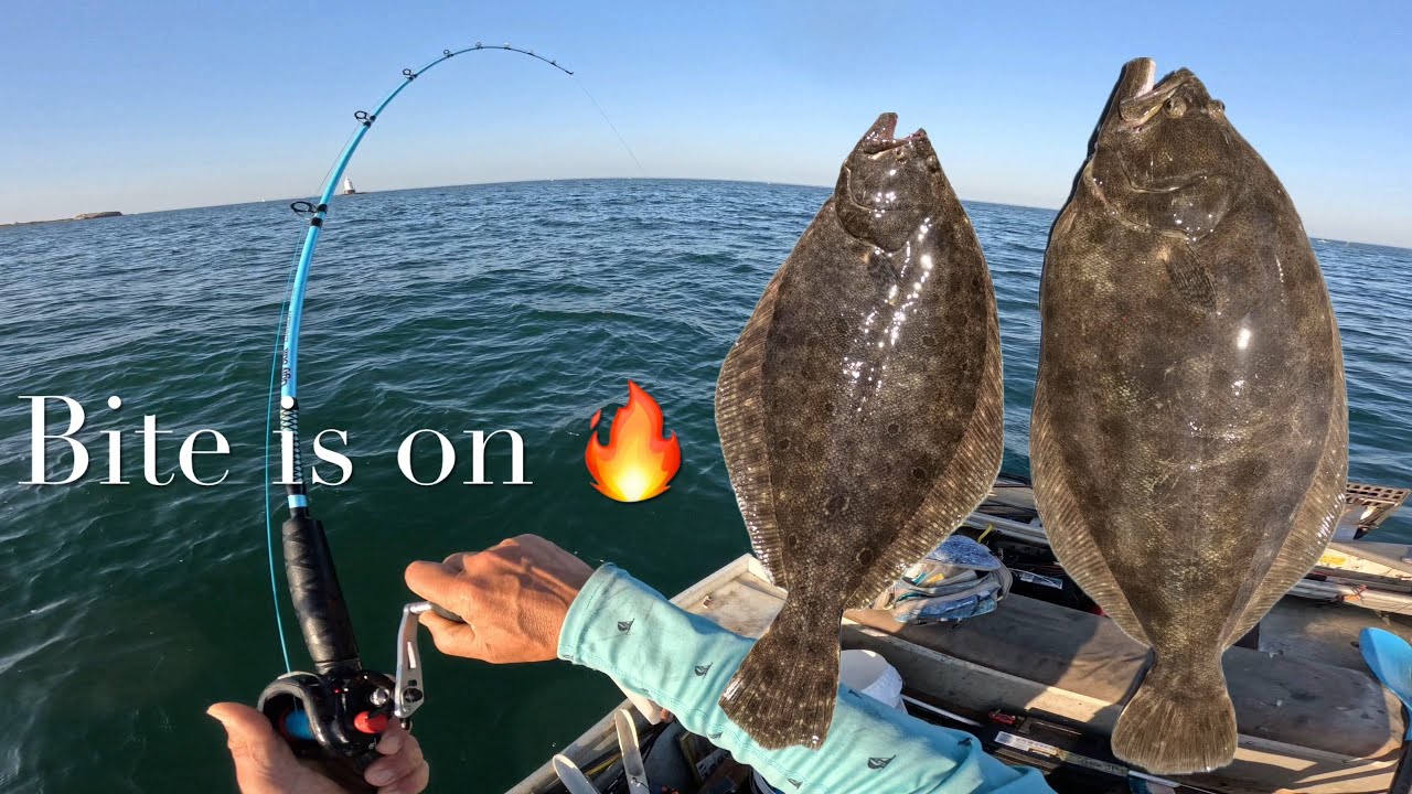 Great fluke bite in Rhode Island!