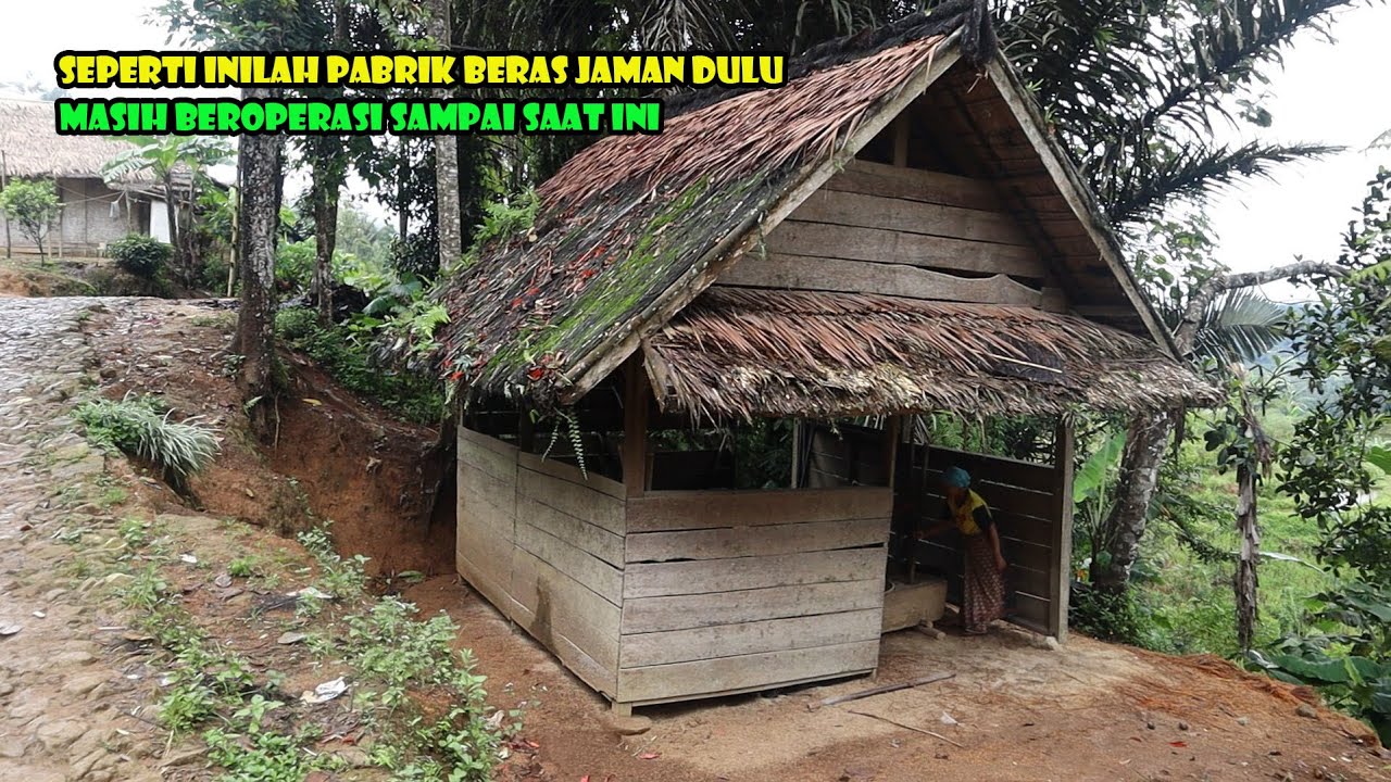 Kampung Tradisi..Sangat Teratur Dan Semua Sama. Rukun Guyub Babarengan.