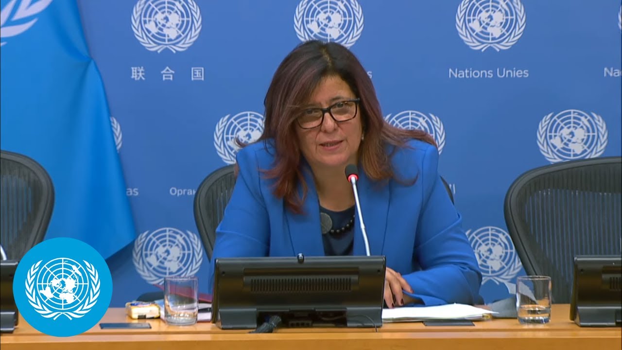 Human rights in the Russian Federation: UN Special Rapporteur's Briefing | United Nations