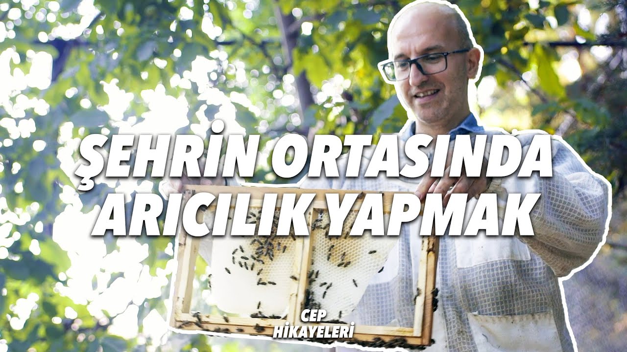 Ekolojik Sanat / Cep Hikayeleri No:132