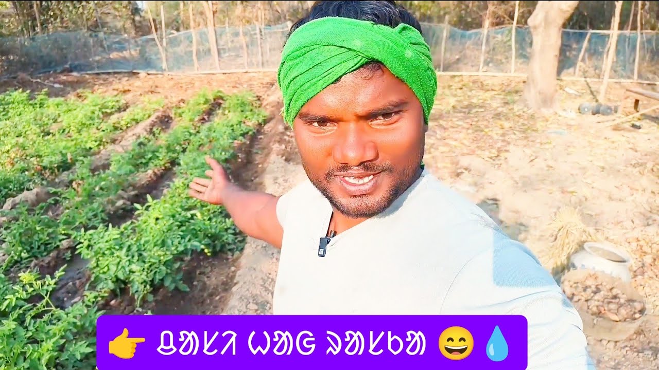ᱪᱟᱥᱤ ᱦᱟᱜ ᱨᱟᱥᱠᱟ 😄💧Mehnat Bekar Nahi Gayi | Real village life @chasikorahopon