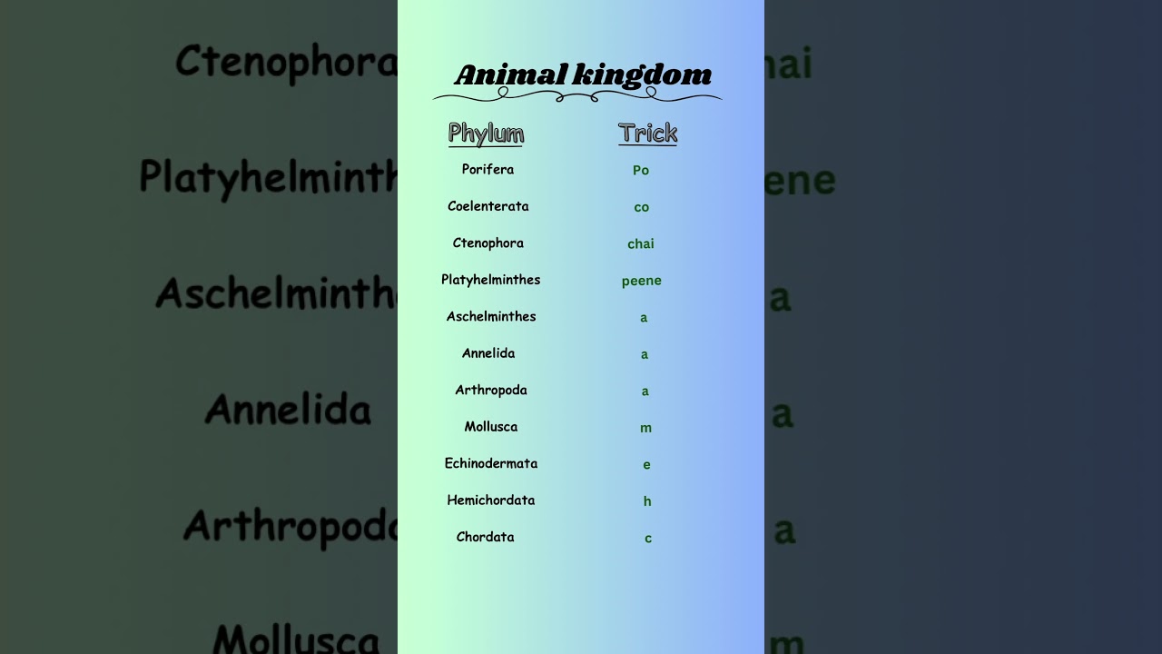 Animal kingdom&rsquo;s phylum tricks to learn 🔥 #biologyclass #neet2024 #biologylecture