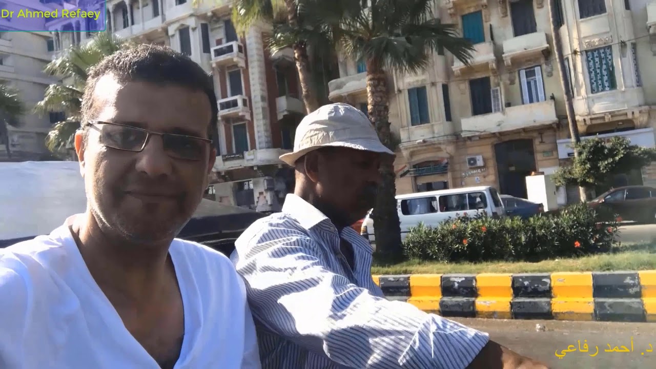 جولة فى إسكندرية بالحنطور  .. د. أحمد رفاعي