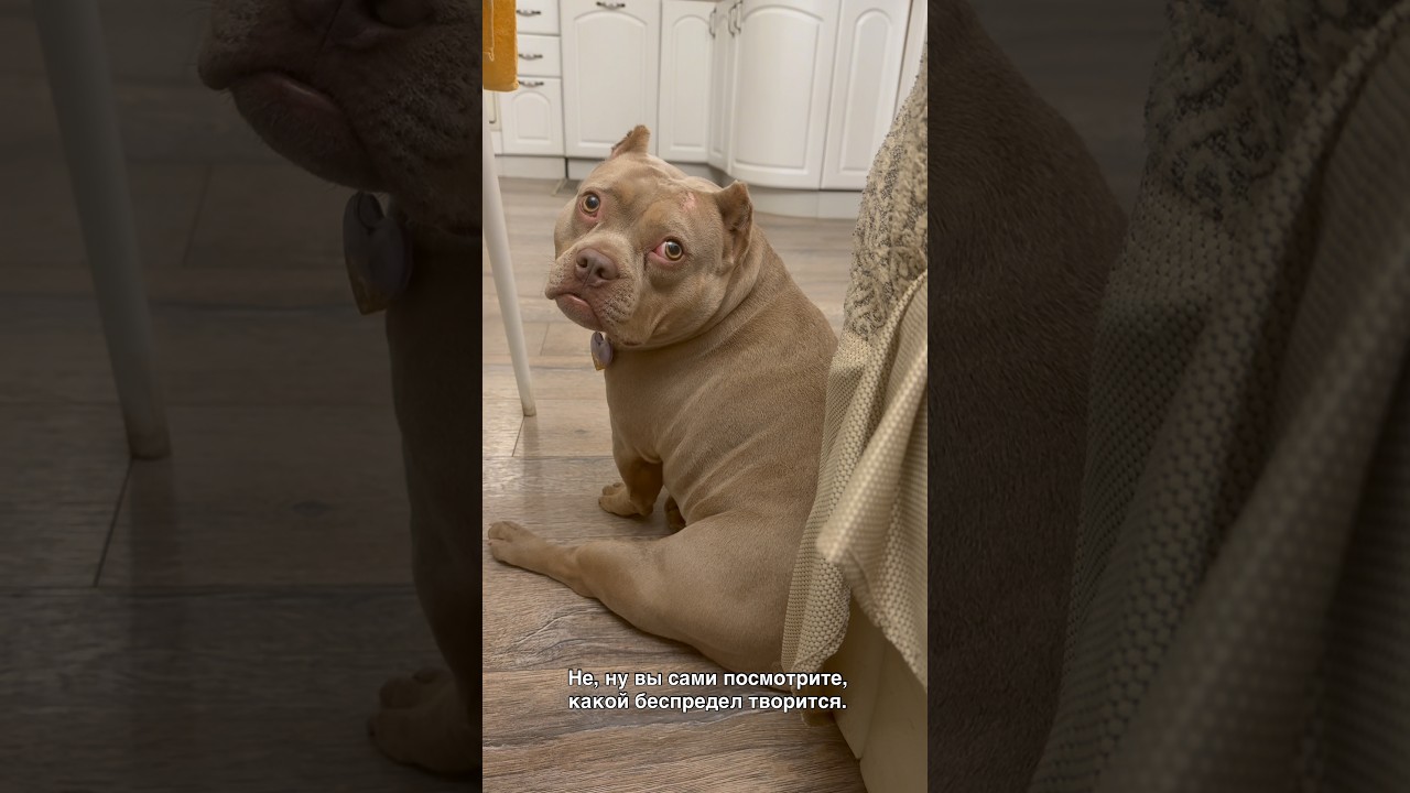 Чуть пальцы не поотрезали🫣😬