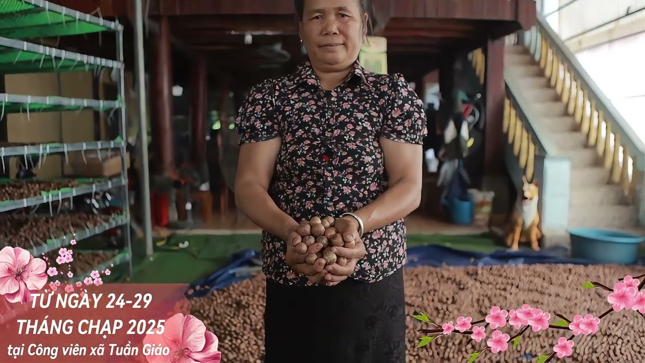 ĐIỆN BIÊN ĐÓN NGƯỜI – SÈN HOÀNG MỸ LAM | PHIÊN BẢN SONG CA | FESTIVAL MÚA XÒE CỘNG ĐỒNG 2026.