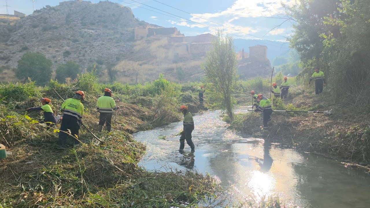 Trabajos forestales en el r&iacute;o Mesa por Villel de Mesa: &aacute;rea de Los Entrerrios 