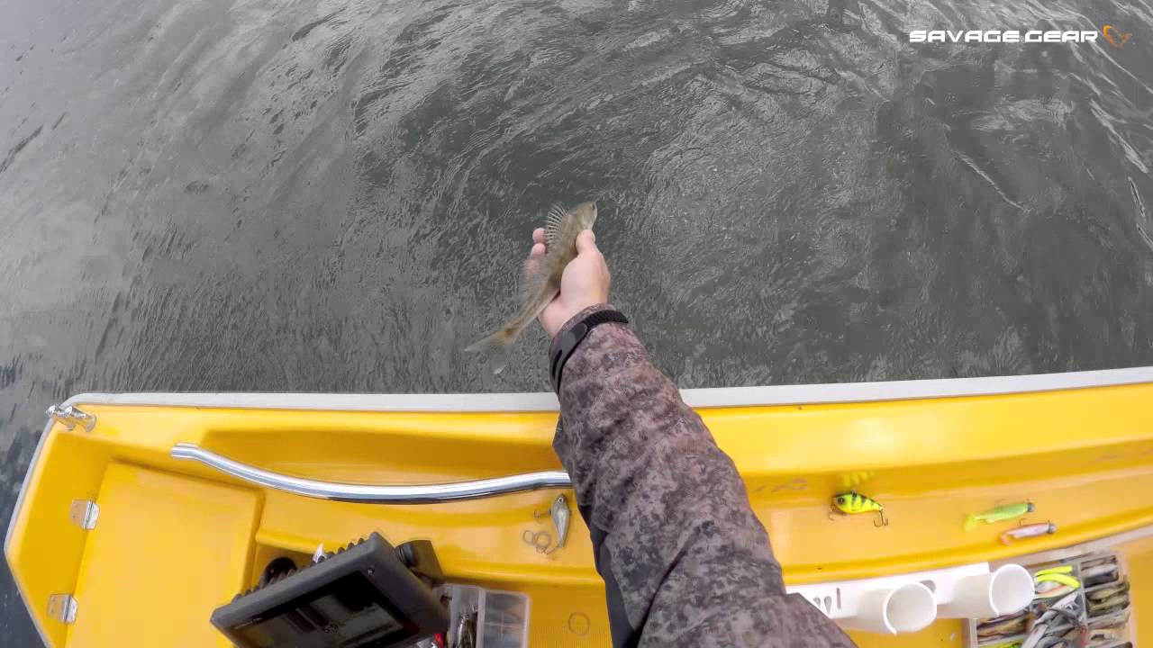 SG DYING MINNOW w metodzie Drop Shot