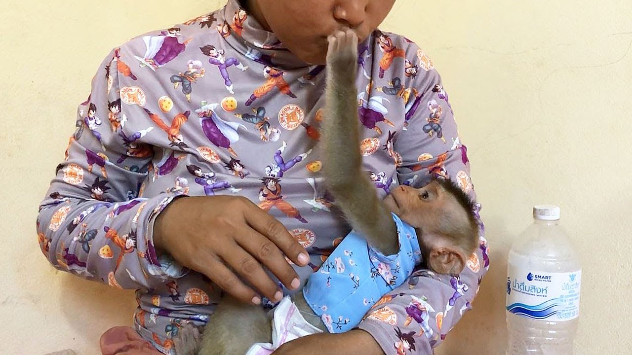 Clever Jason Softly Behavior Touching Mom To Relaxed After Drinking Dutch Milk