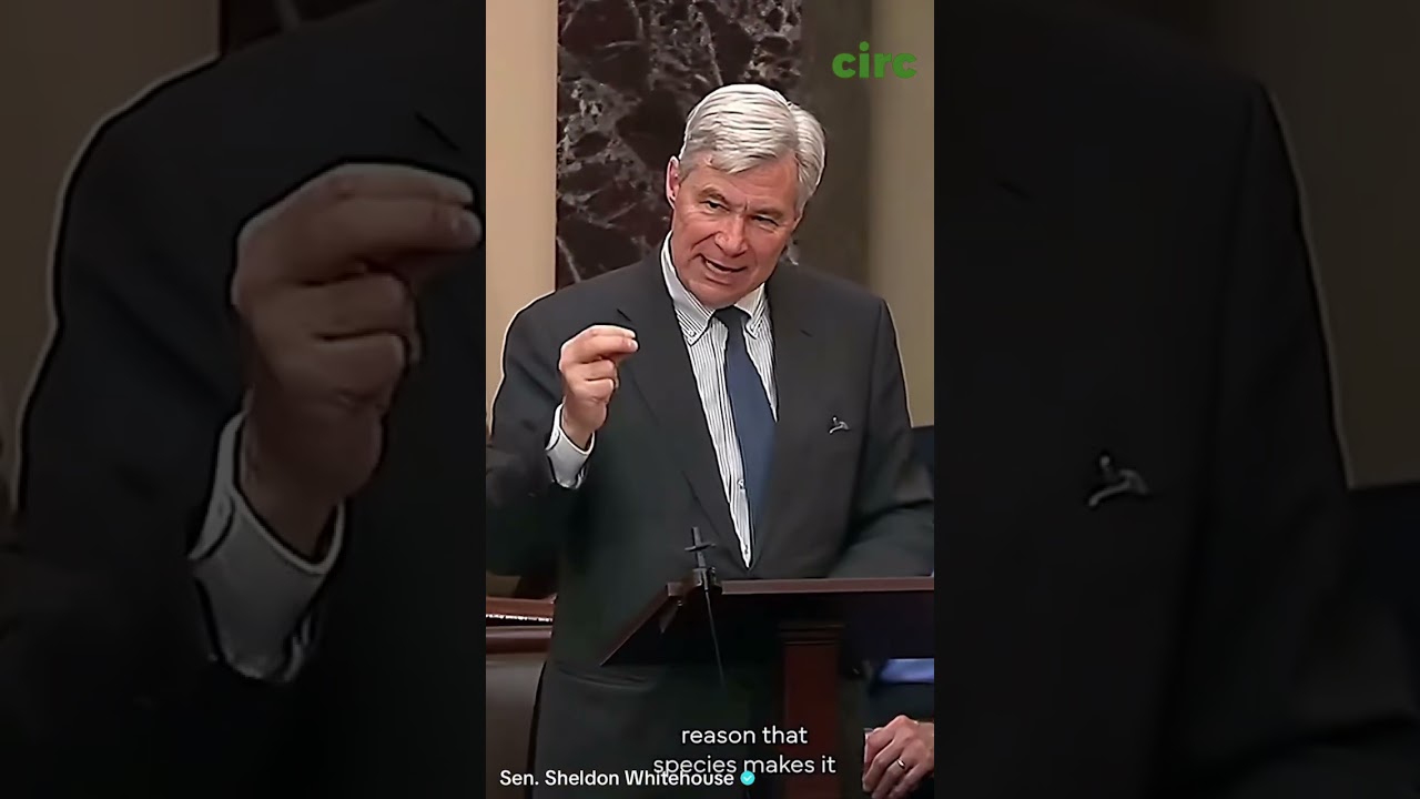 Sen. Sheldon Whitehouse Talks About The Red Knot bird and How We Are All Interconnected #birds