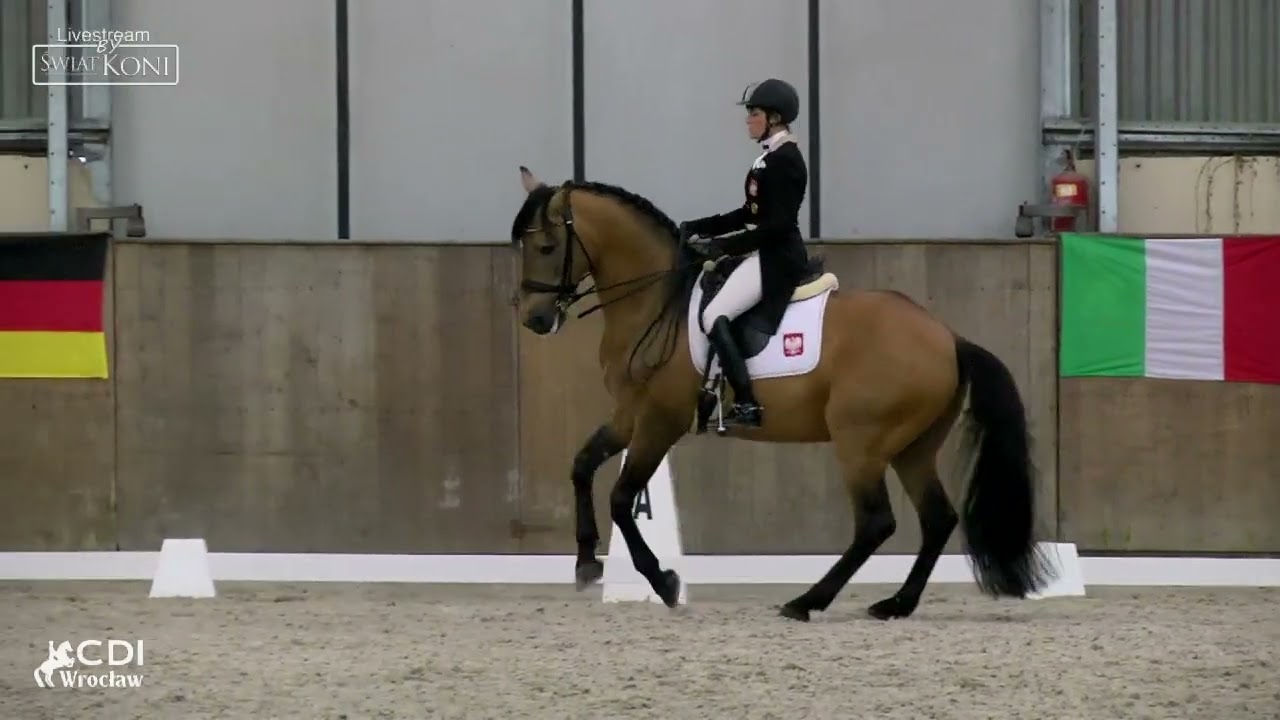 GUAPO   Katarzyna Milczarek   CDI Wrocław – 23 03 2024