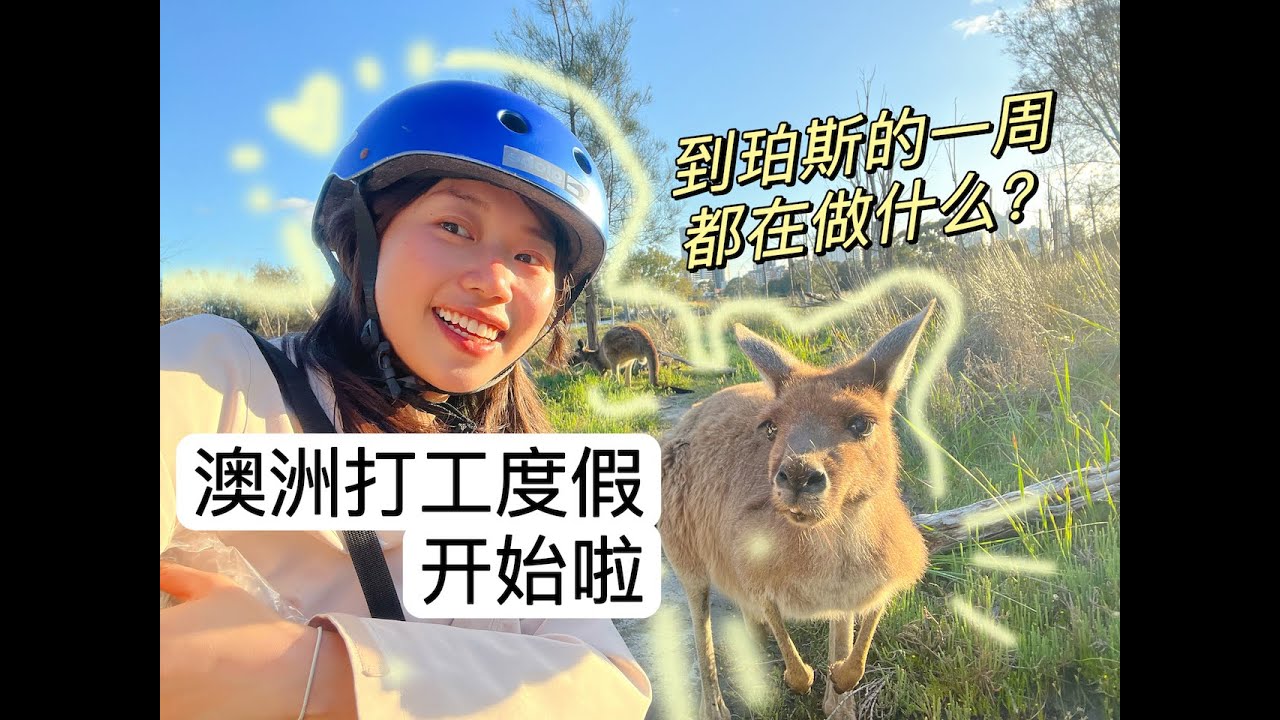 澳洲打工度假开始啦｜到珀斯的第一周都在做什么