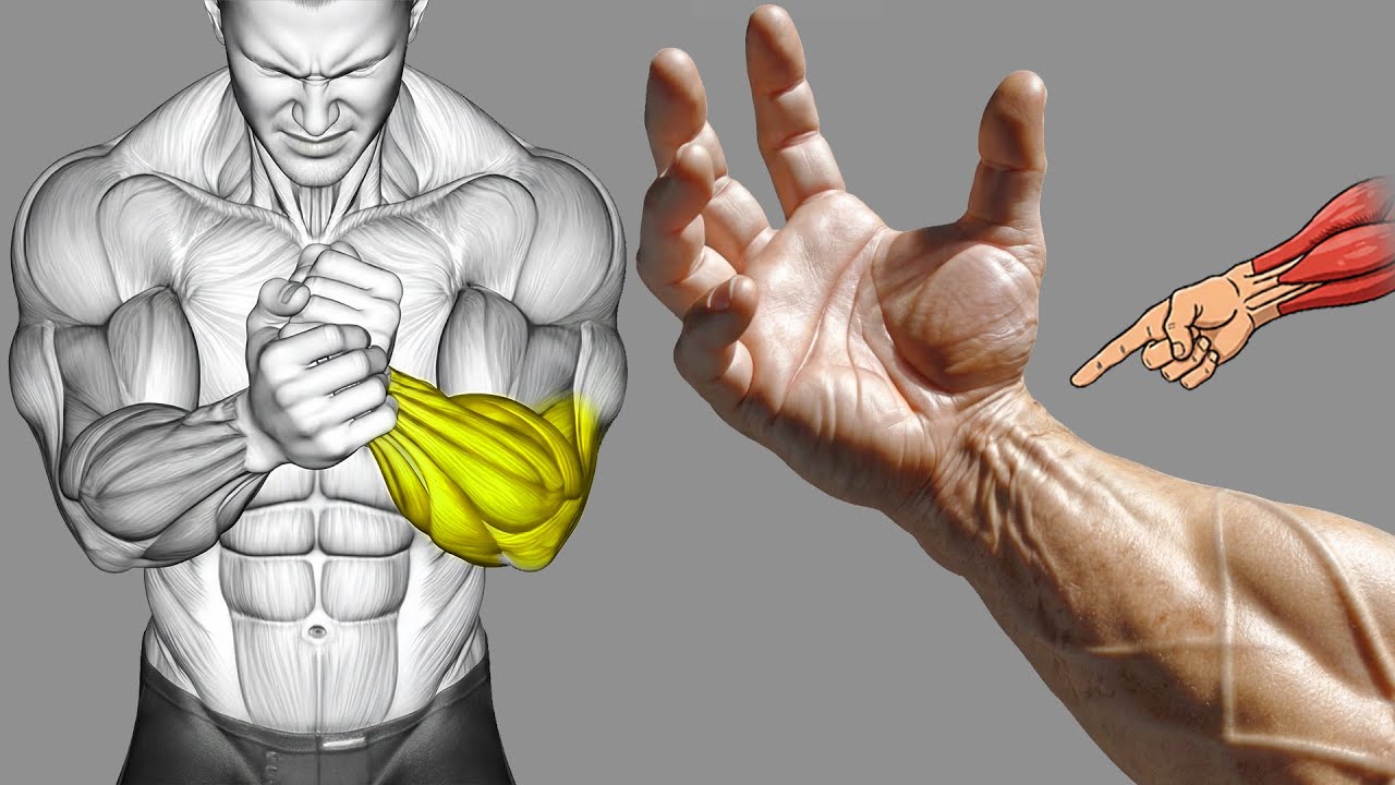 9 простых упражнений для развития силы хвата