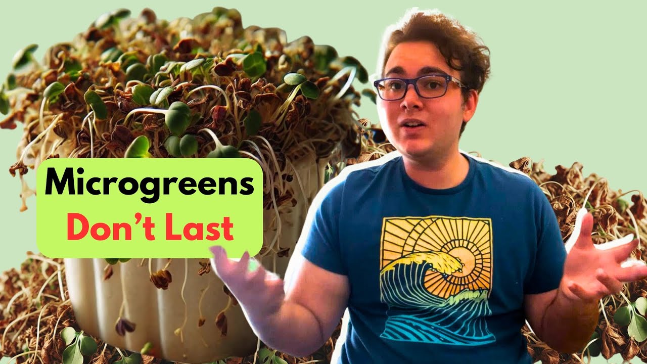 How to Store Microgreens&mdash;But Not the Way You Think!