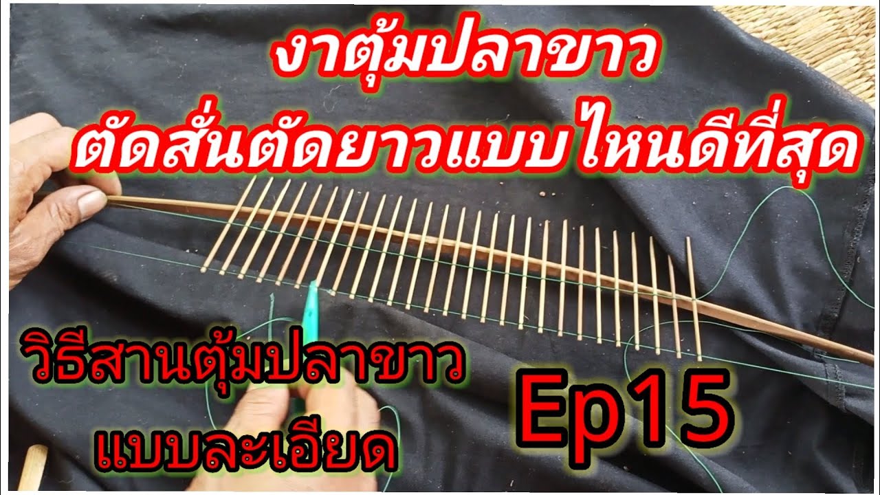 วิธีเหลางาตุ้มและวิธีตัดซี่งา เหลาขนาดไหน ยาวกี่เซน  วิธีสานตุ้มปลาขาวแบบล่ะเอียดEp15#งาตุ้มสูตรเด็ด