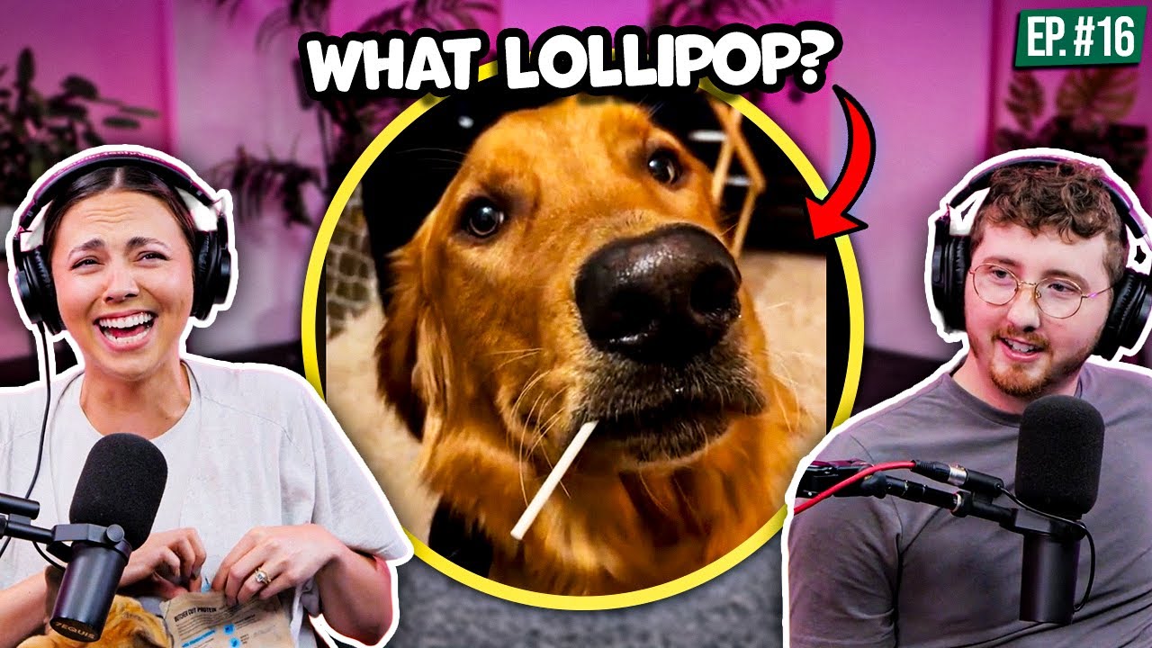 Dog Falsely Accused Of Lollipop Theft!