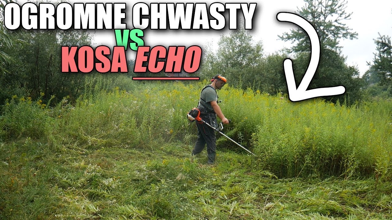 OGROMNE CHWASTY - ECHO 3610