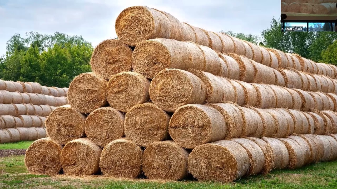 IRLS 2023 Session 3: The Importance of Hay Testing