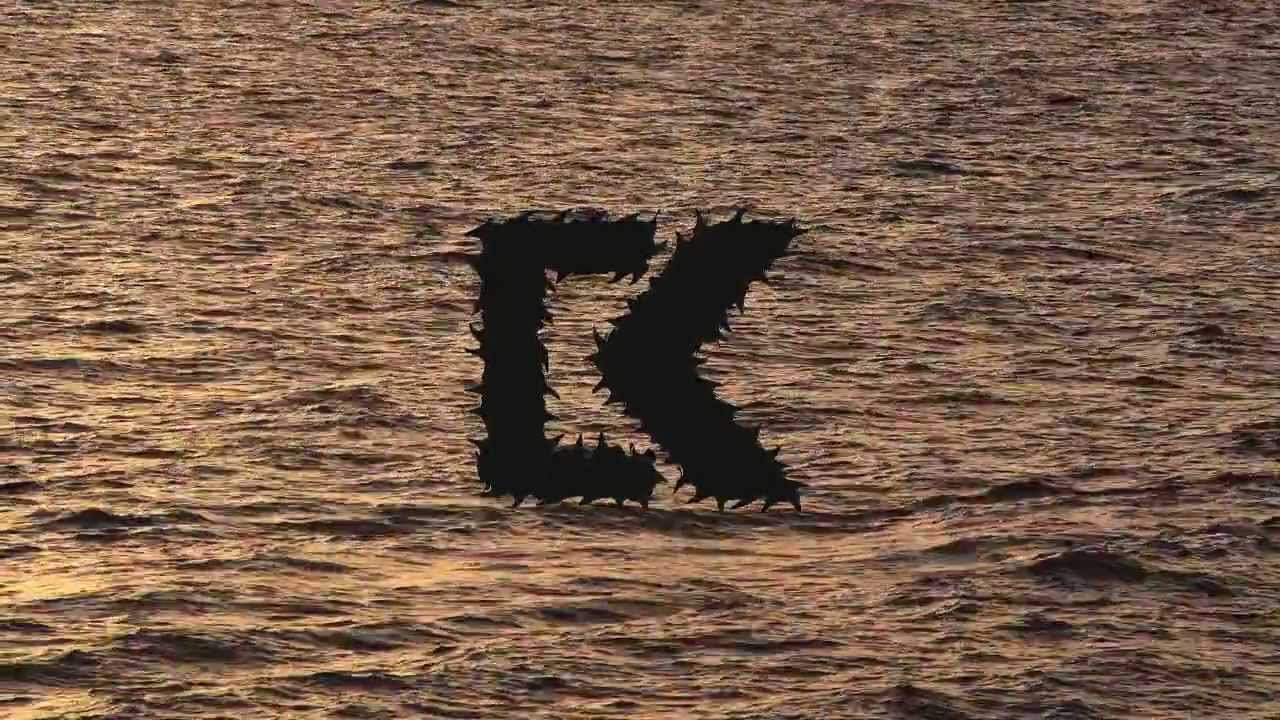 49er Sailing - Nickomania - World Cup Winner 2011
