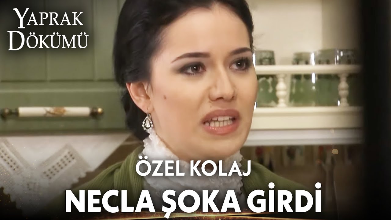 Havalimanı fotoğrafları Necla'ya gitti! - Yaprak Dökümü Özel Kolaj