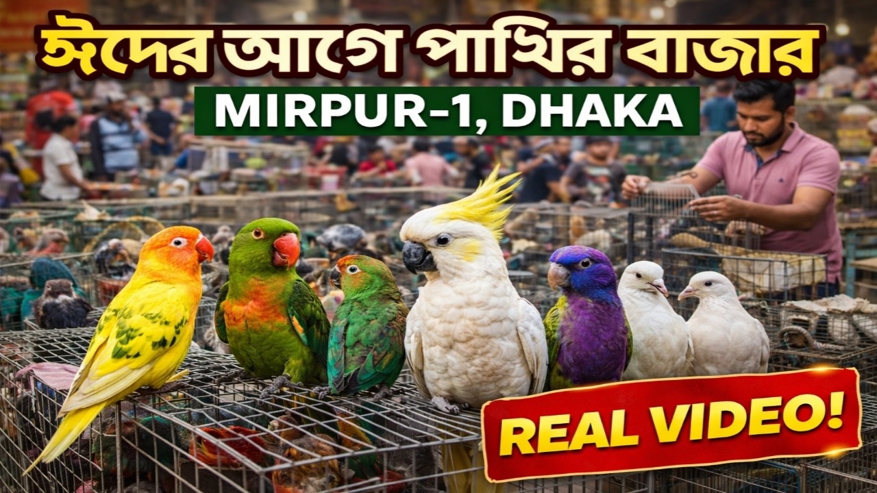 ঈদের আগে মিরপুর-১ পাখির হাট | Mirpur 1 Bird Market Dhaka | Colorful Birds