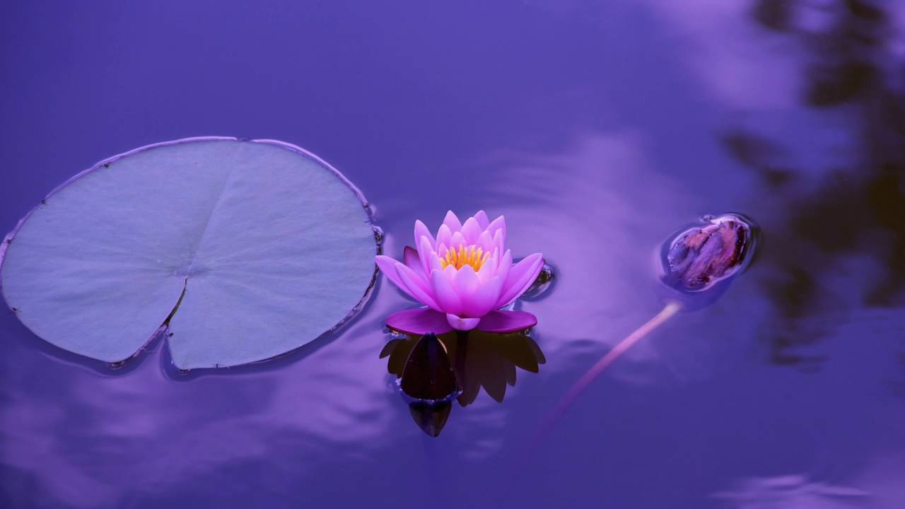 Musica rilassante un ora , one hour relaxing music, meditation, meditazione, Meditation relax music