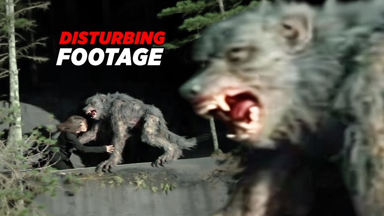 UNEXPLAINABLE Wilderness Sightings &mdash; DISTURBING REAL FOOTAGE from Deep in the Woods!