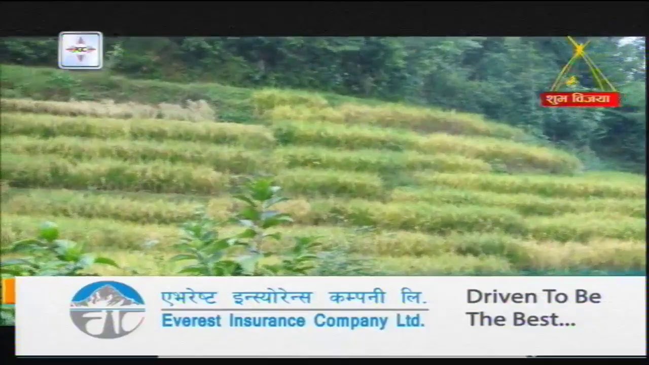 Business News Online Live Nepal Today |  Business Plus TV