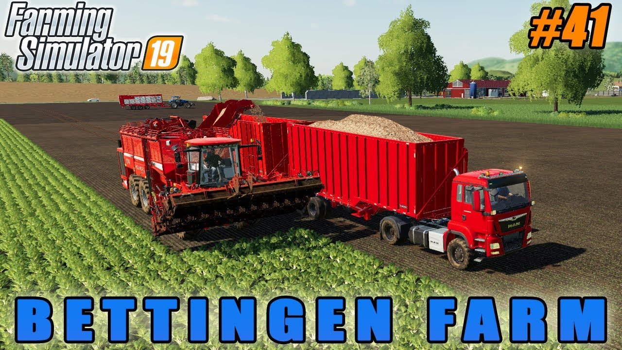 Farming simulator 19 | Bettingen Farm | Timelapse #41 | Harvesting and selling beets