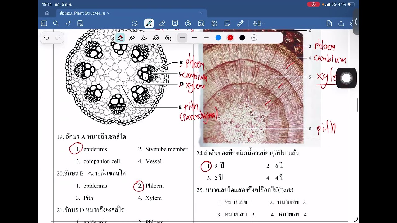Biology ม.1 วันพฤหัสบดี ที่ 5 กุมภาพันธ์ 2569