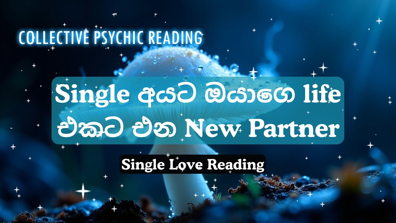 Single අයට ඔයාගෙ life එකට එන New Partner |Collective love reading