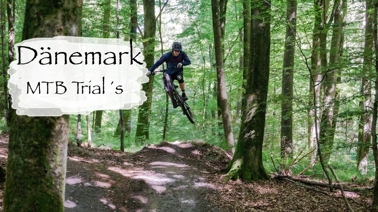 Bikepark / Trails in Dänemark / Florian Lerchbaumer