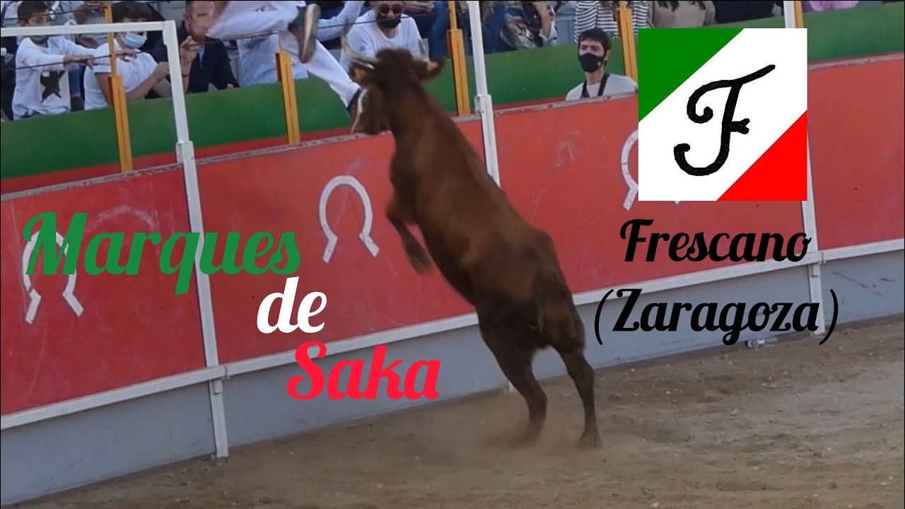 Especial Marques de Saka en Frescano (Zaragoza) el 10/10/2021