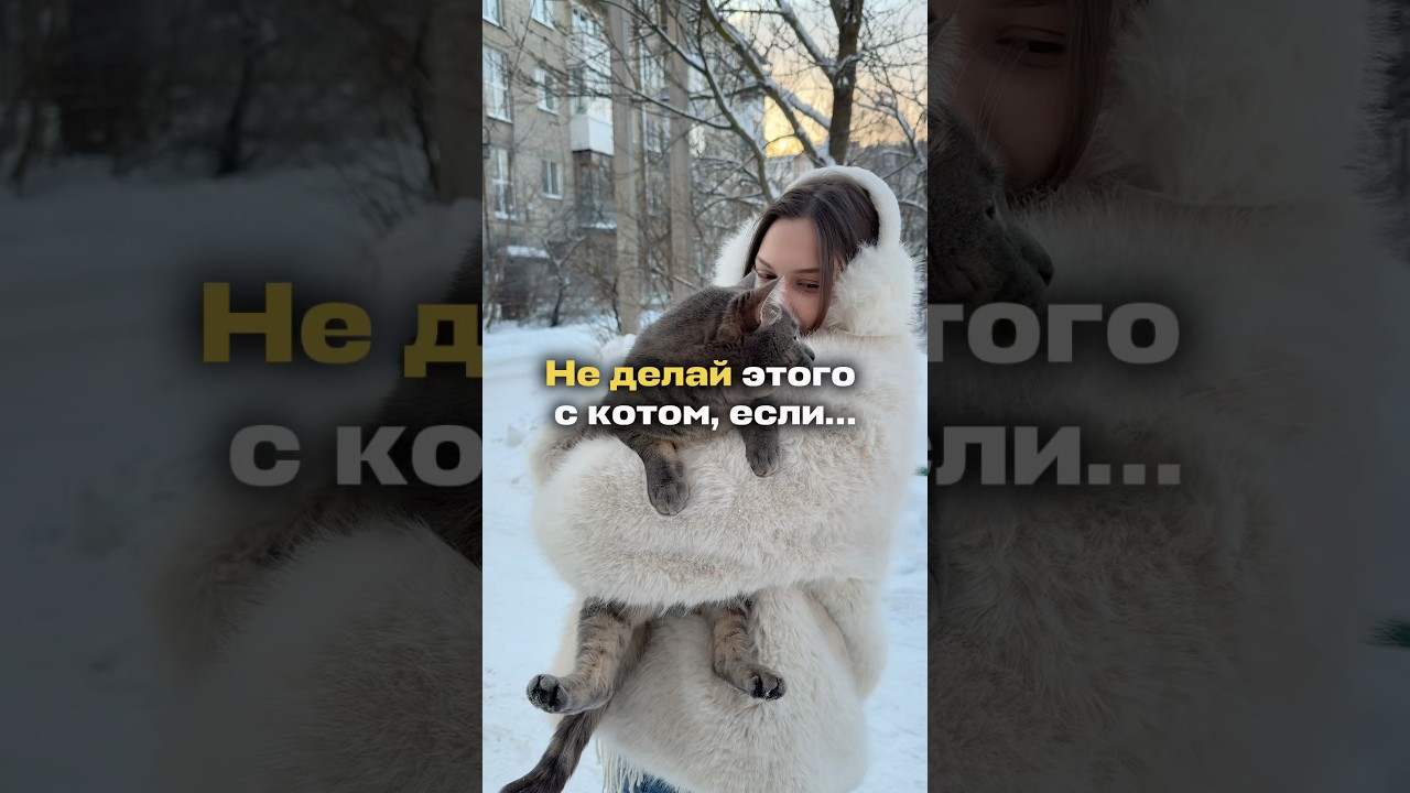 🦷проверенная паста для котиков - #WW276549 (копируй и вставляй на вб)#уходзакотом #котики #здоровье