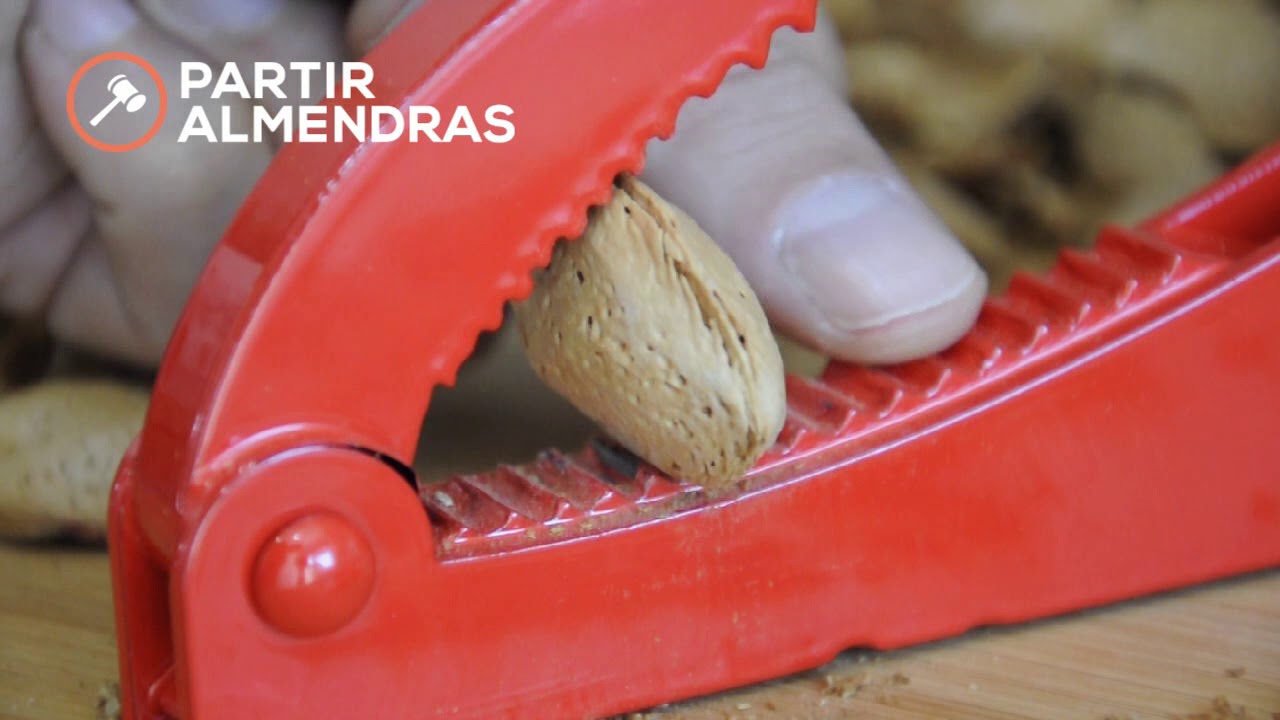 Máquina para partir Almendras pro21