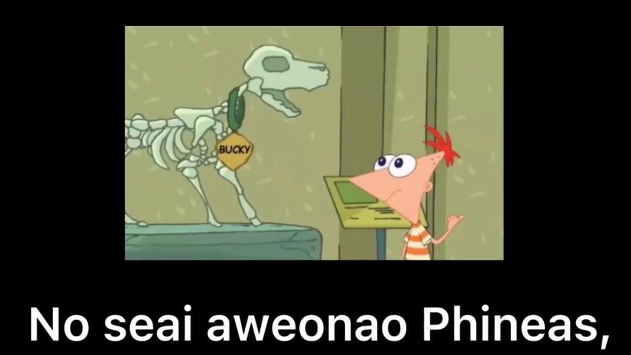 Phineas aweonao