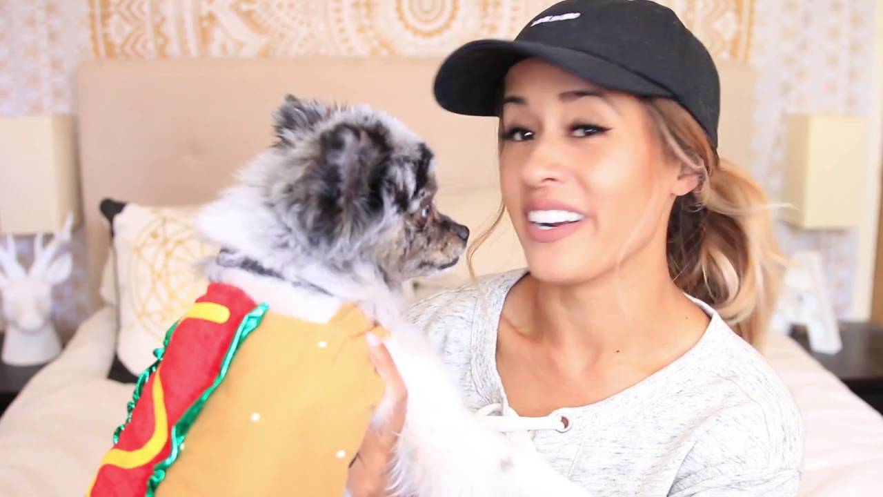 Better Halloween Together (Petco)