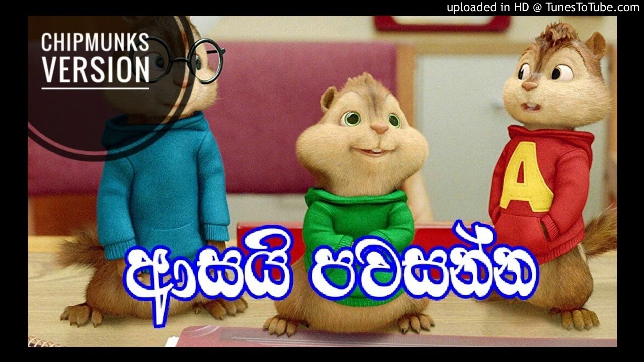 Asai Pawasanna - Dimanka Wellalage chipmunks version