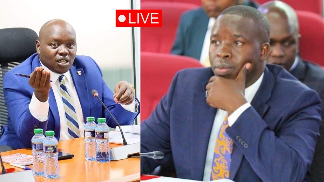 Live: Drama as Nandi Gov Sang Appears infront Senate Committee!