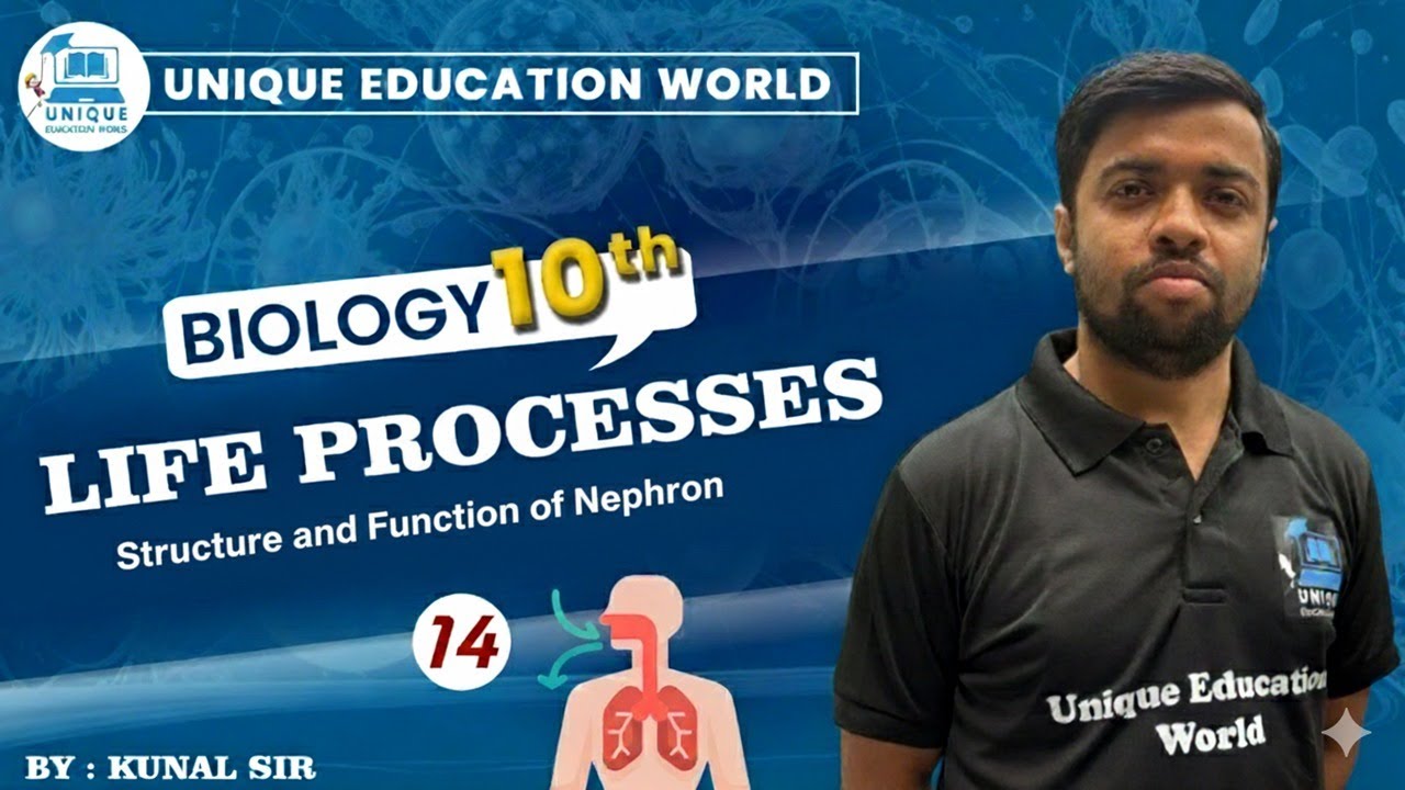 Life Processes | Structure & Function of Nephron | Class 10 Biology | CBSE Board Exam 2025