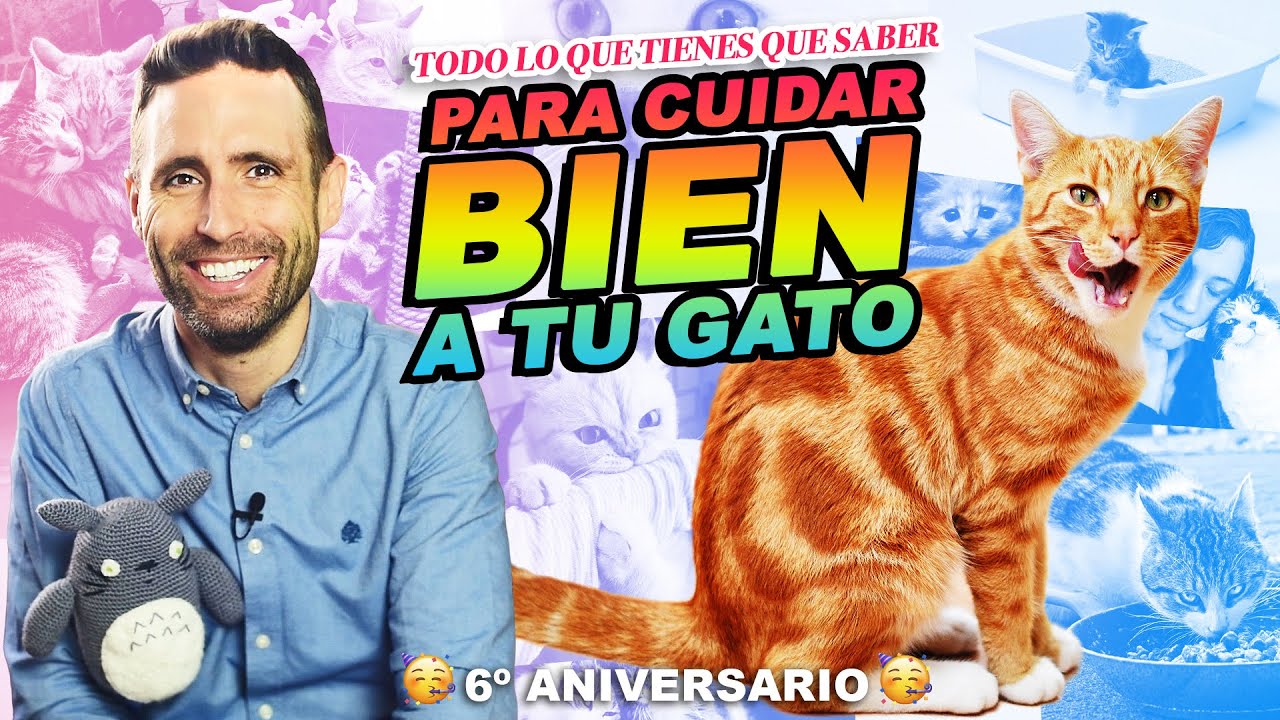 TODO LO QUE NECESITAS SABER para CUIDAR BIEN A TU GATO 😻 🤗 | Enciclopedia felina: Especial 6 años
