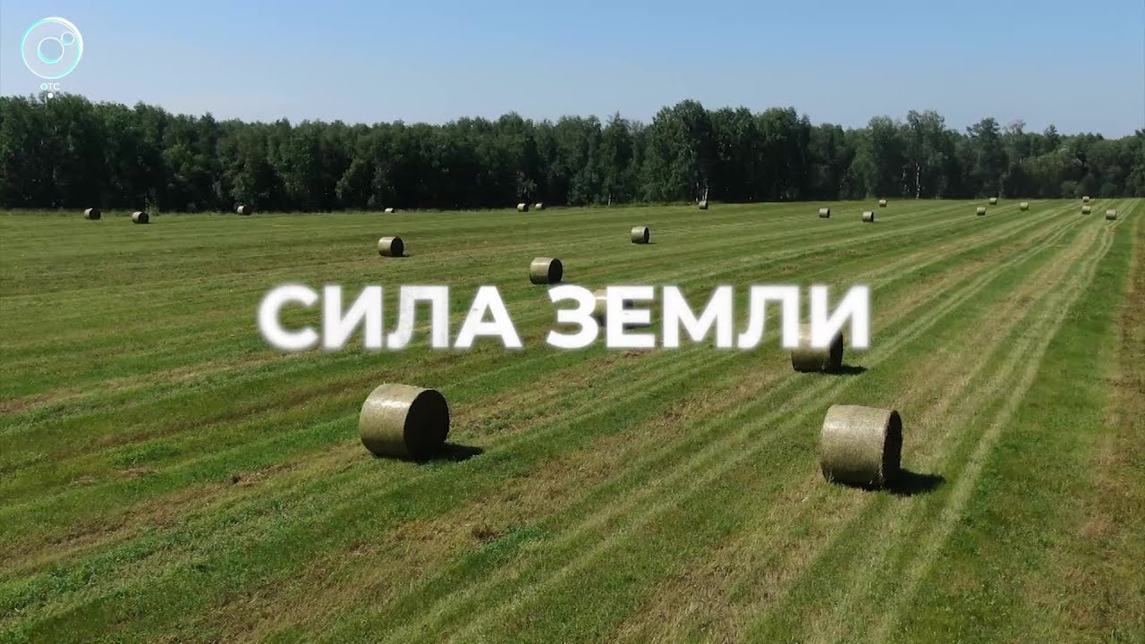 От маленького предприятия до большого хозяйства | Программа 