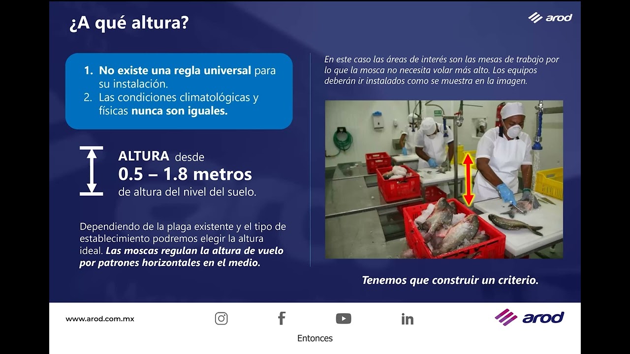 Instalación de trampas para moscas de luz UV-A | ¿Dónde y cómo instalar tus equipos?